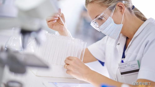 乐山试管代生代怀全流程揭秘：从胚胎培养到成功分娩的真实经历